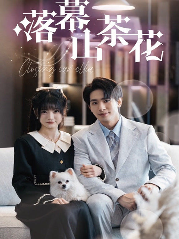 落幕山茶花