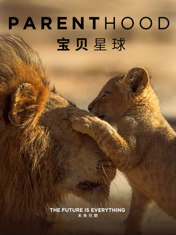 宝贝星球 英文版