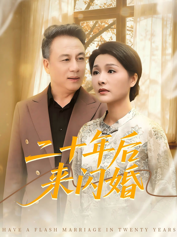 二十年后来闪婚