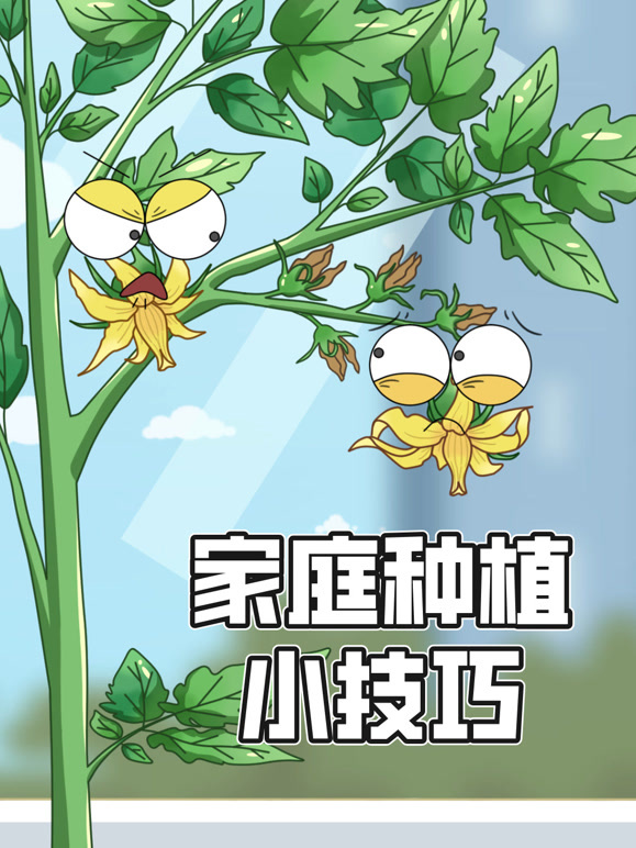 家庭种植小技巧