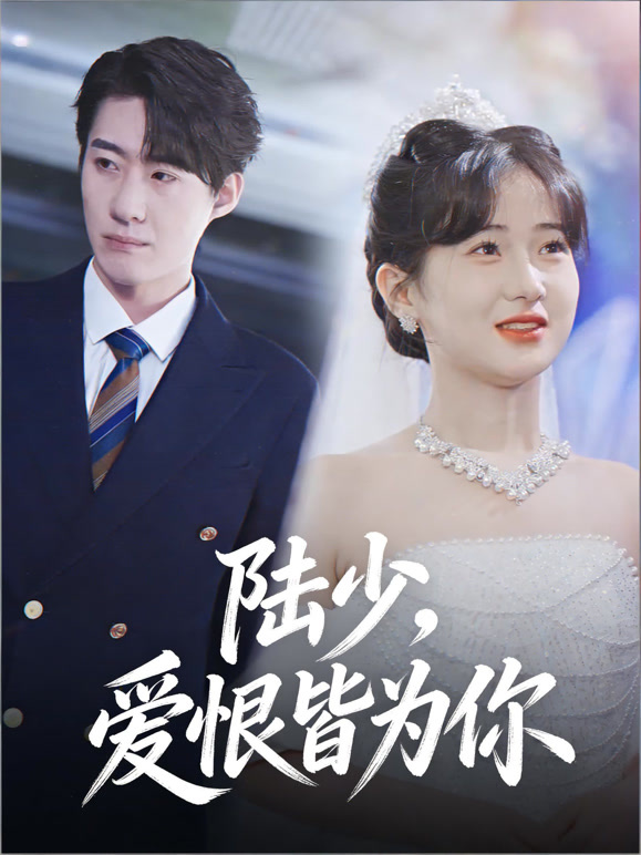 陆少，爱恨皆为你