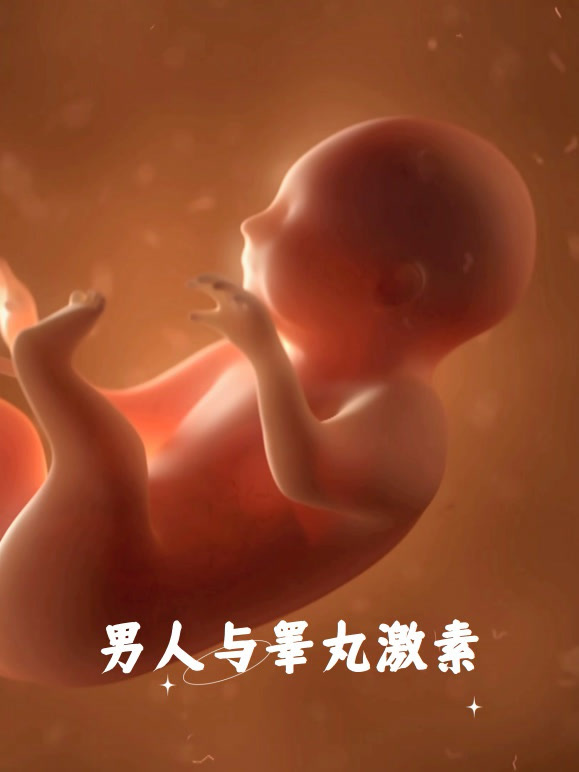 男人与睾丸激素