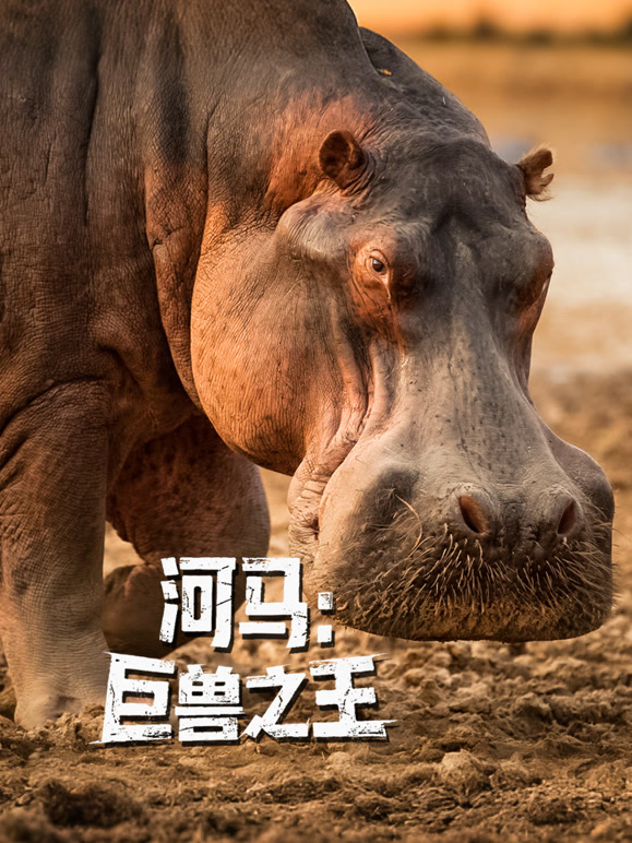 河马：巨兽之王-配音版