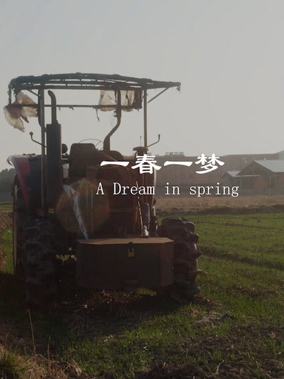 一春一梦