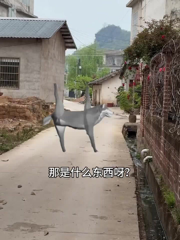 老罗特馋1的2026年合集1