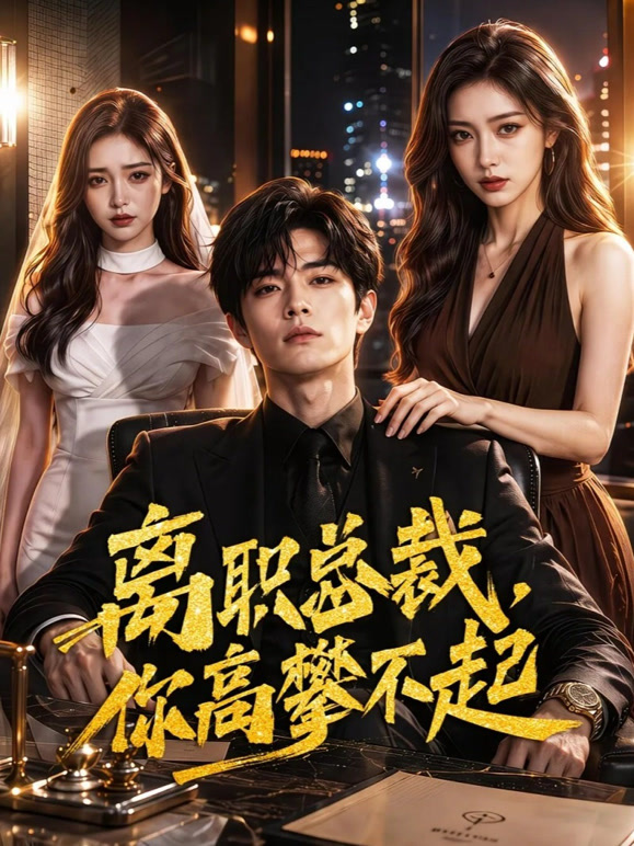 离职总裁，你高攀不起