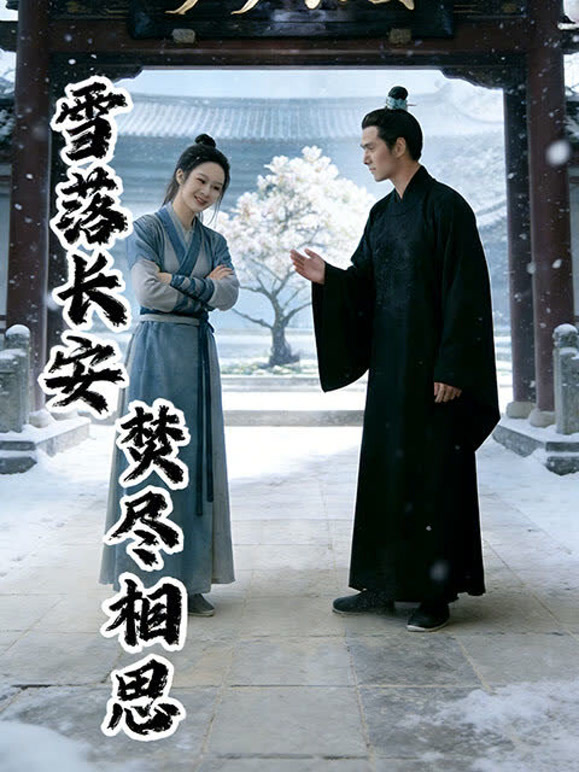 雪落长安，焚尽相思