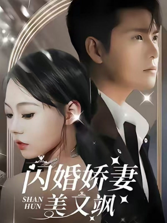 闪婚娇妻美又飒