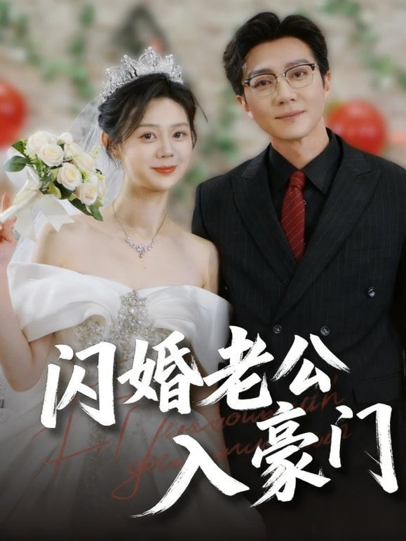 闪婚老公入豪门