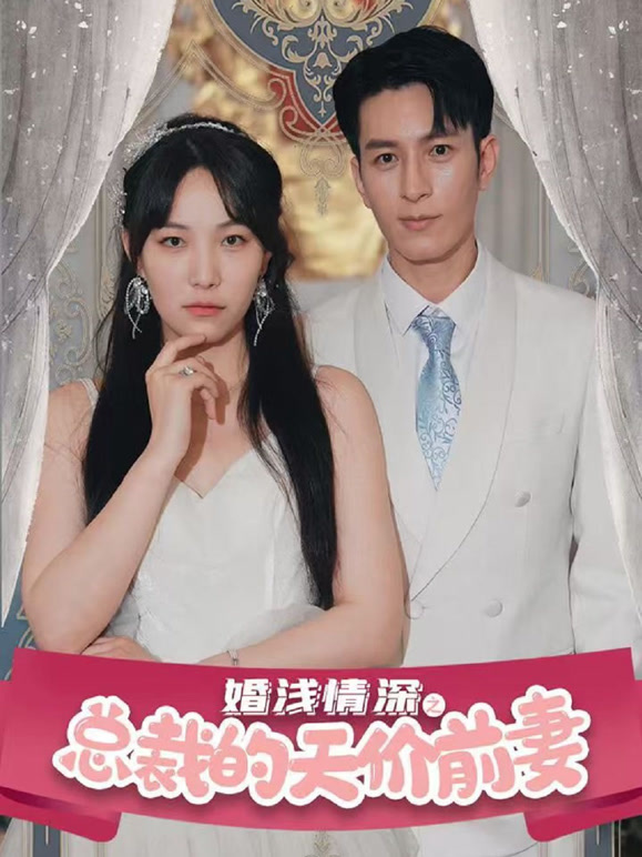 婚浅情深之总裁的天价前妻