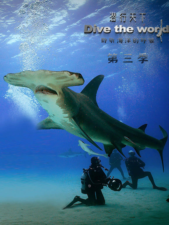 潜行天下第三季