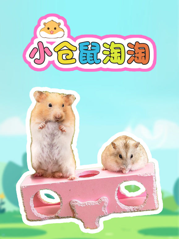 小仓鼠淘淘