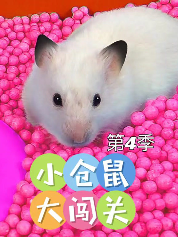 小仓鼠大闯关 第四季