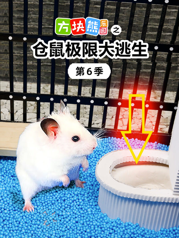 方块熊乐园之仓鼠极限大逃生 第6季