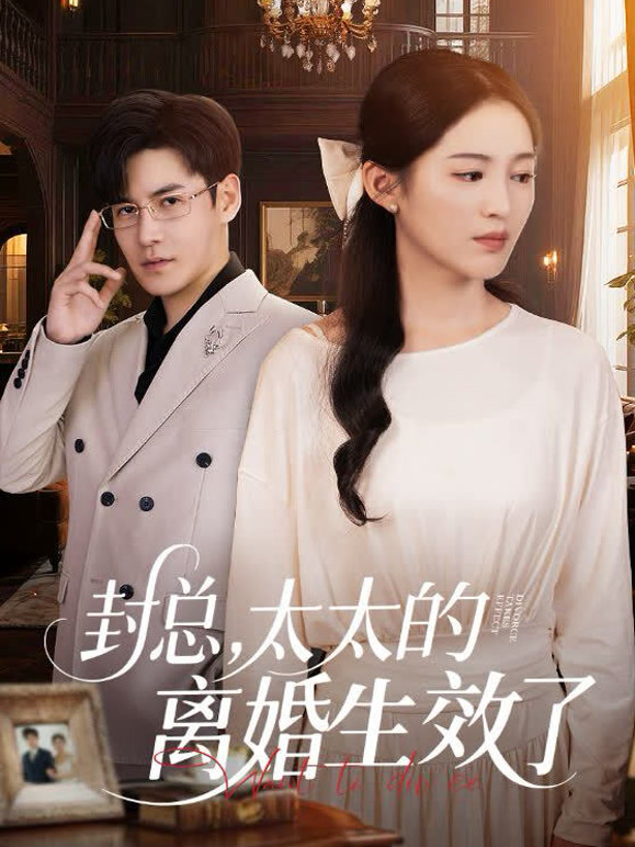 封总，太太的离婚生效了