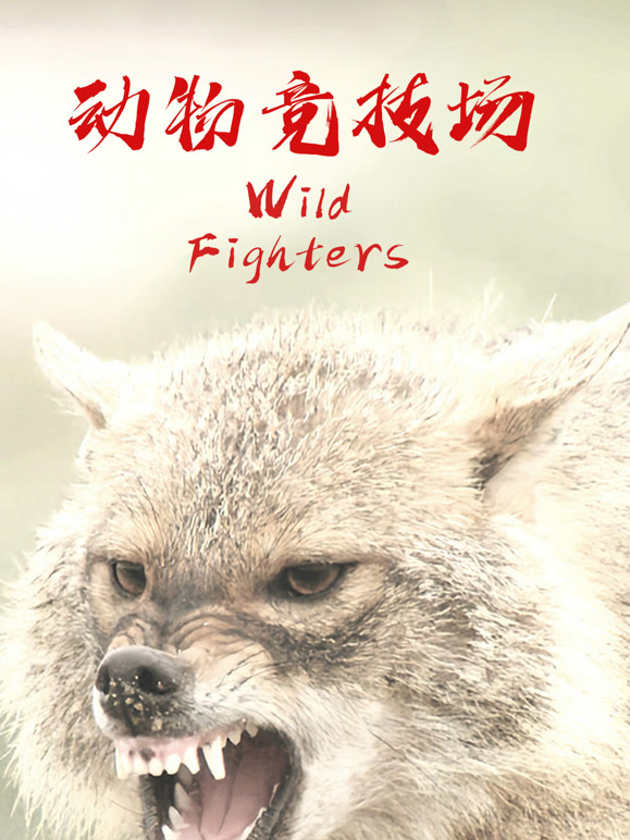 动物竞技场