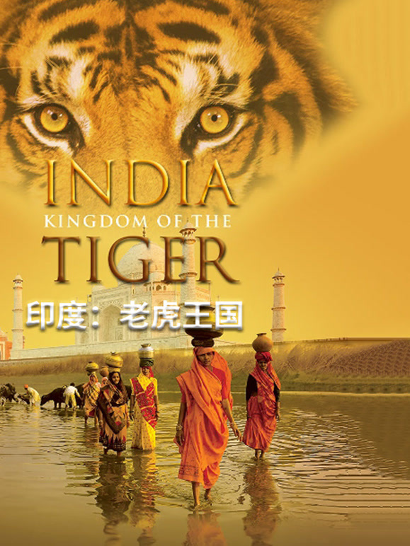 印度：老虎王国