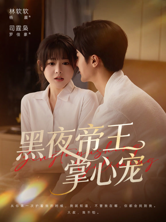 黑夜帝王掌心宠