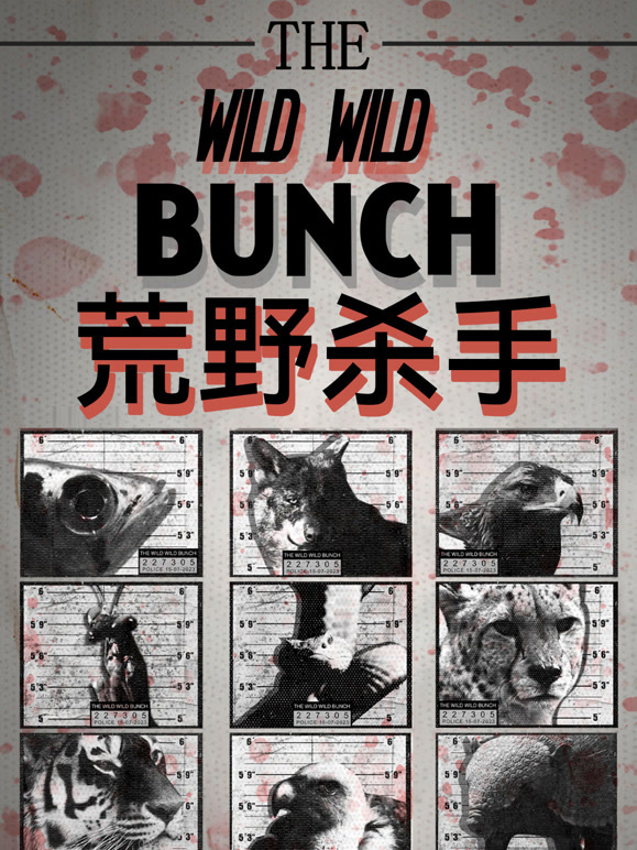 荒野杀手英文版
