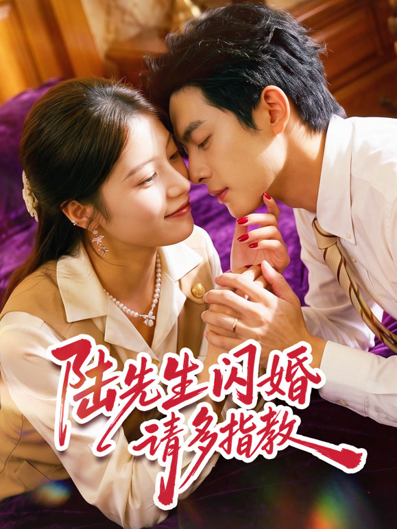 陆先生闪婚请多指教