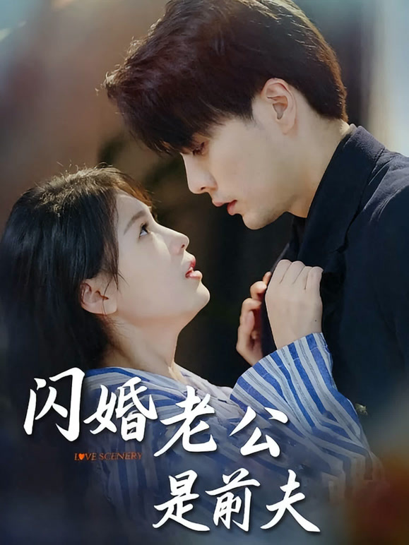 闪婚老公是前夫