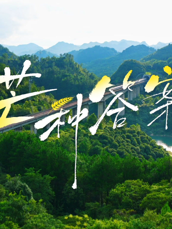芒种答案