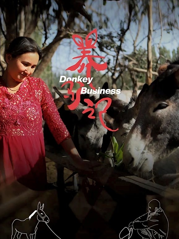 2021年新疆作品展——养驴记