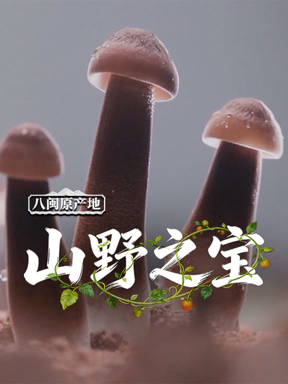 八闽原产地·山野之宝