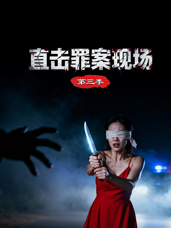 直击罪案现场第三季