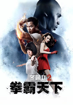 冬荫功2：拳霸天下（普通话）