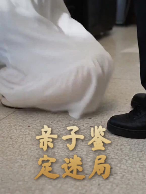 亲子鉴定迷局