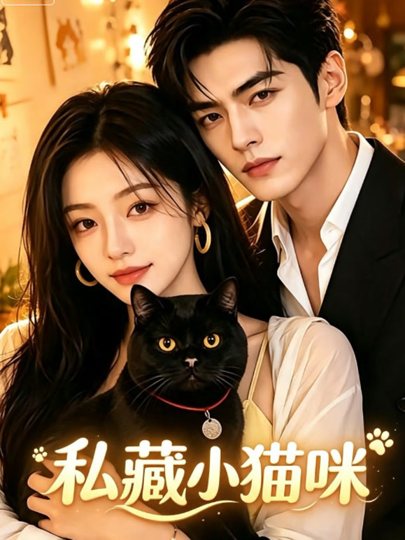 私藏小猫咪