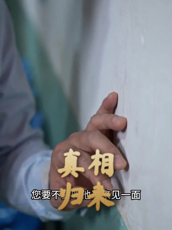 真相归来1