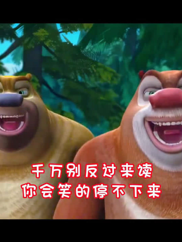 呆萌二熊熊的2026年合集1
