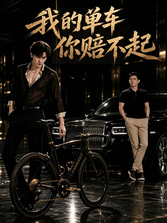 我的单车你赔不起