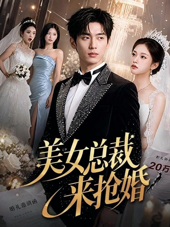 美女总裁来抢婚