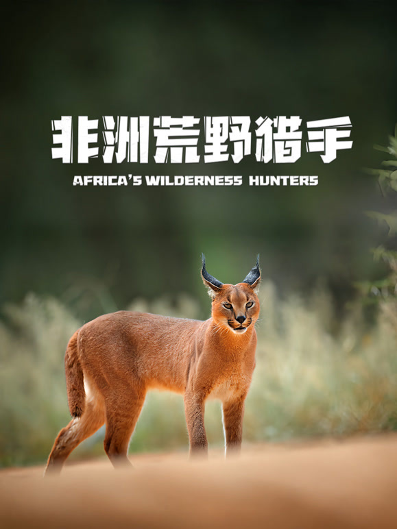 非洲荒野猎手