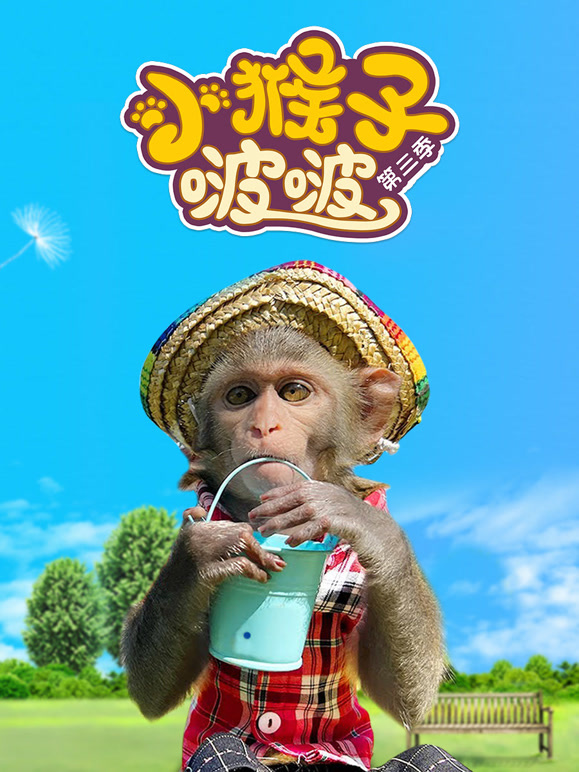 小猴子啵啵 第三季