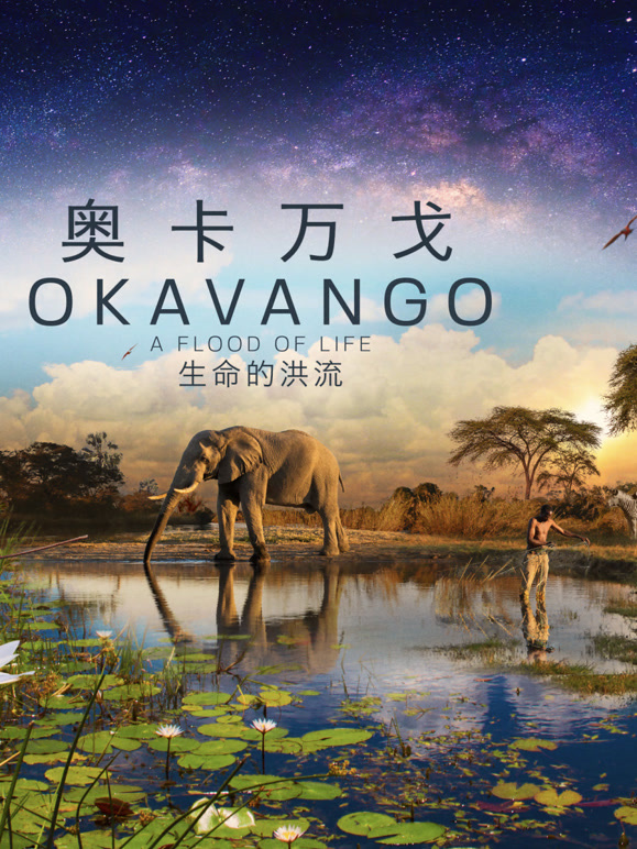 奥卡万戈：生命的洪流 中文版