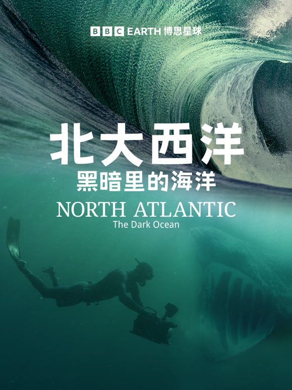 北大西洋：黑暗里的海洋