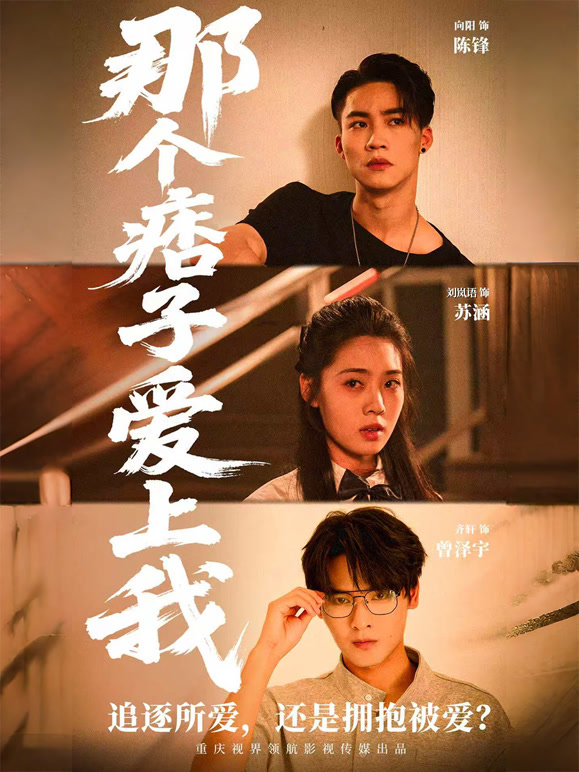 那个痞子爱上我