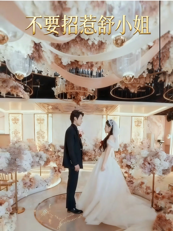 不要招惹舒小姐