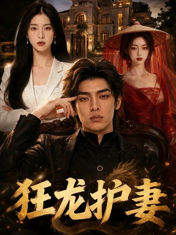 狂龙护妻