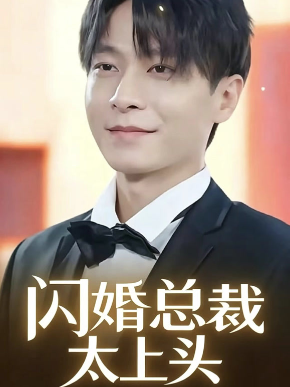 闪婚总裁太上头