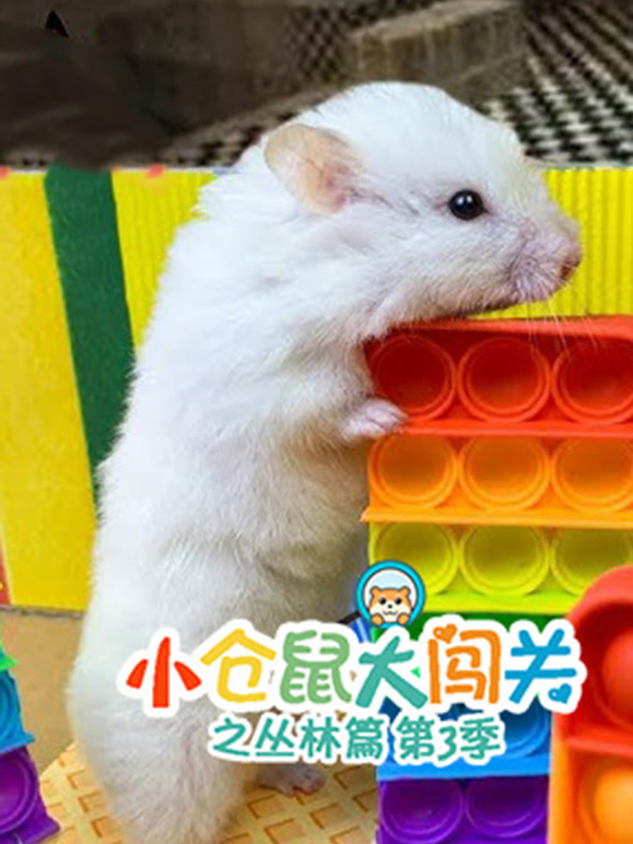 小仓鼠大闯关之丛林篇 第三季