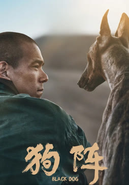 狗阵
