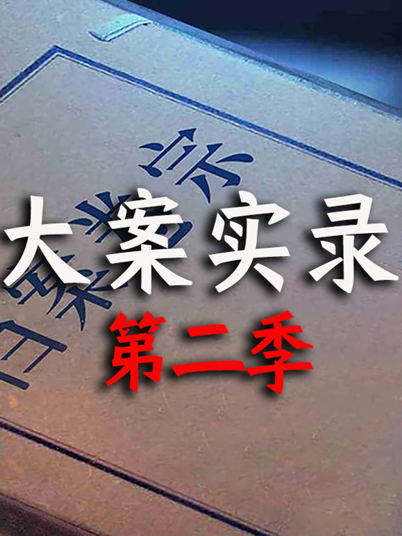 大案实录 第二季
