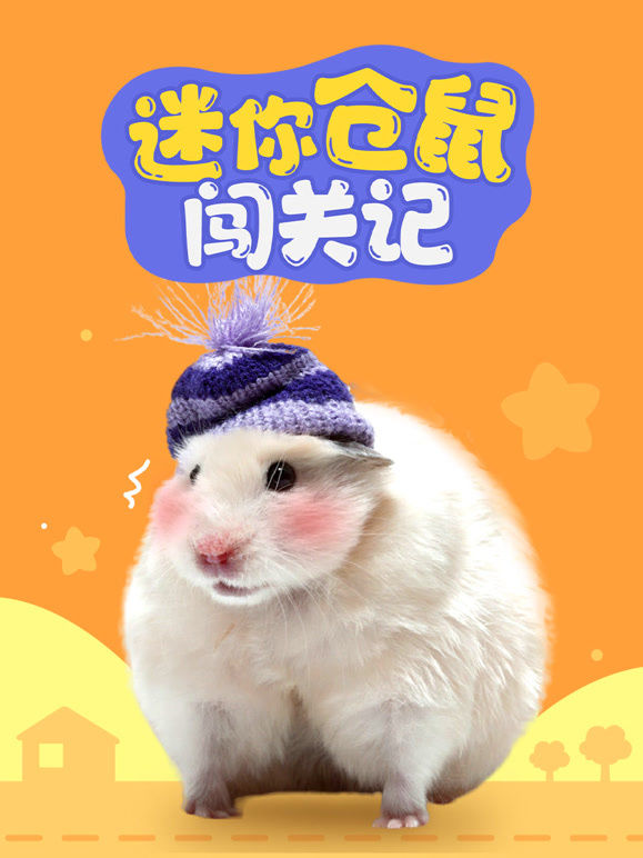 迷你仓鼠闯关记