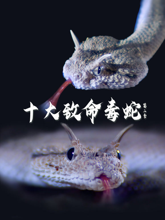 十大致命毒蛇第二季