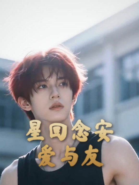 星回念安爱与友